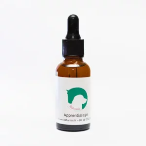 Fleurs de Bach apprentissage. Flacon de fleurs de Bach pour favoriser l’apprentissage chez les animaux, avec étiquette portant un logo vert représentant un cheval et un chien.