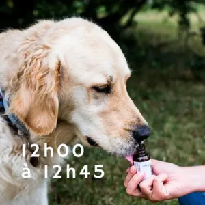 atelier fleurs de bach